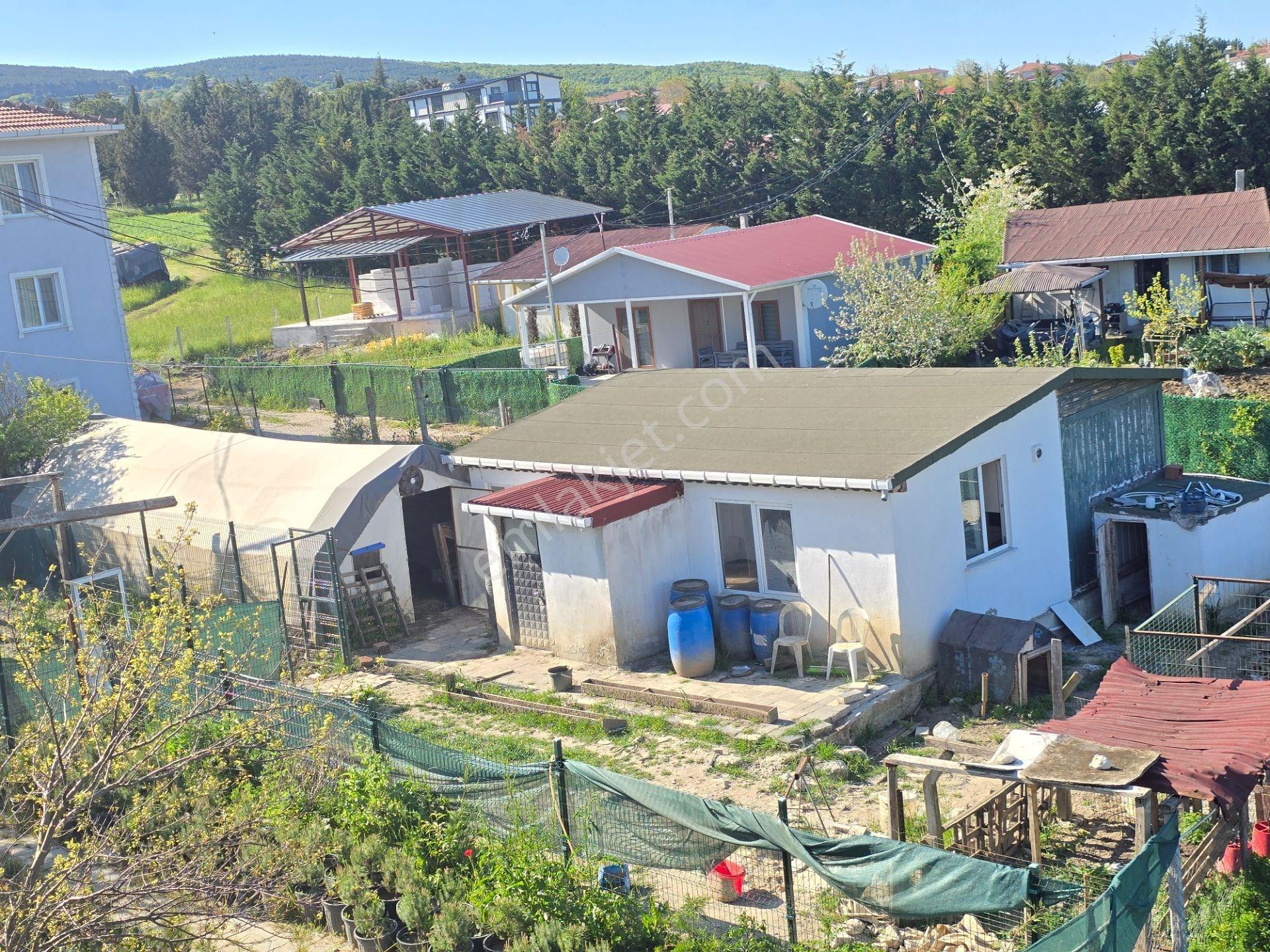 Çatalca 1520m2 Arsa İçinde 6+1=200m2 Müstakil Villa - Görsel 27