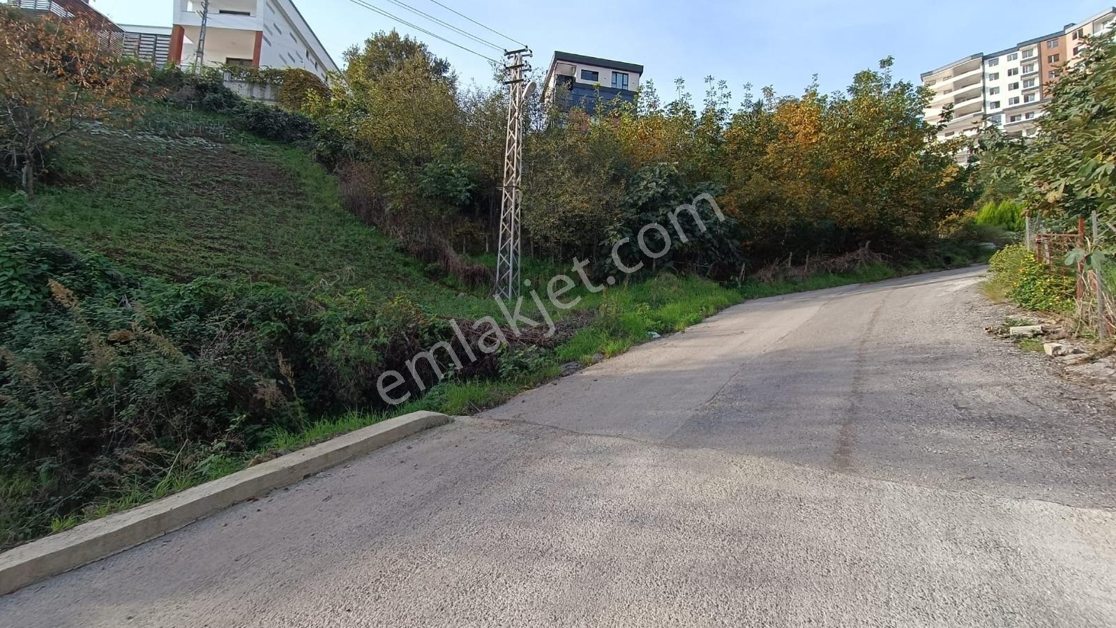 Deniz Manzaralı , Gelecek Vadeden Arsa - Görsel 4