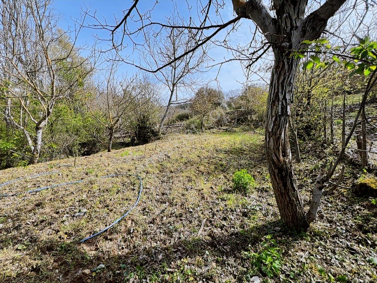 İvrindi'de %40 2 Kat İmarlı Köy İçi Çay Kenarı Arsa - Görsel 20