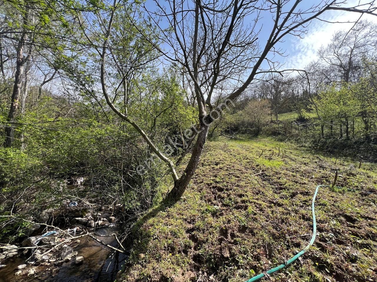 İvrindi'de %40 2 Kat İmarlı Köy İçi Çay Kenarı Arsa - Görsel 9