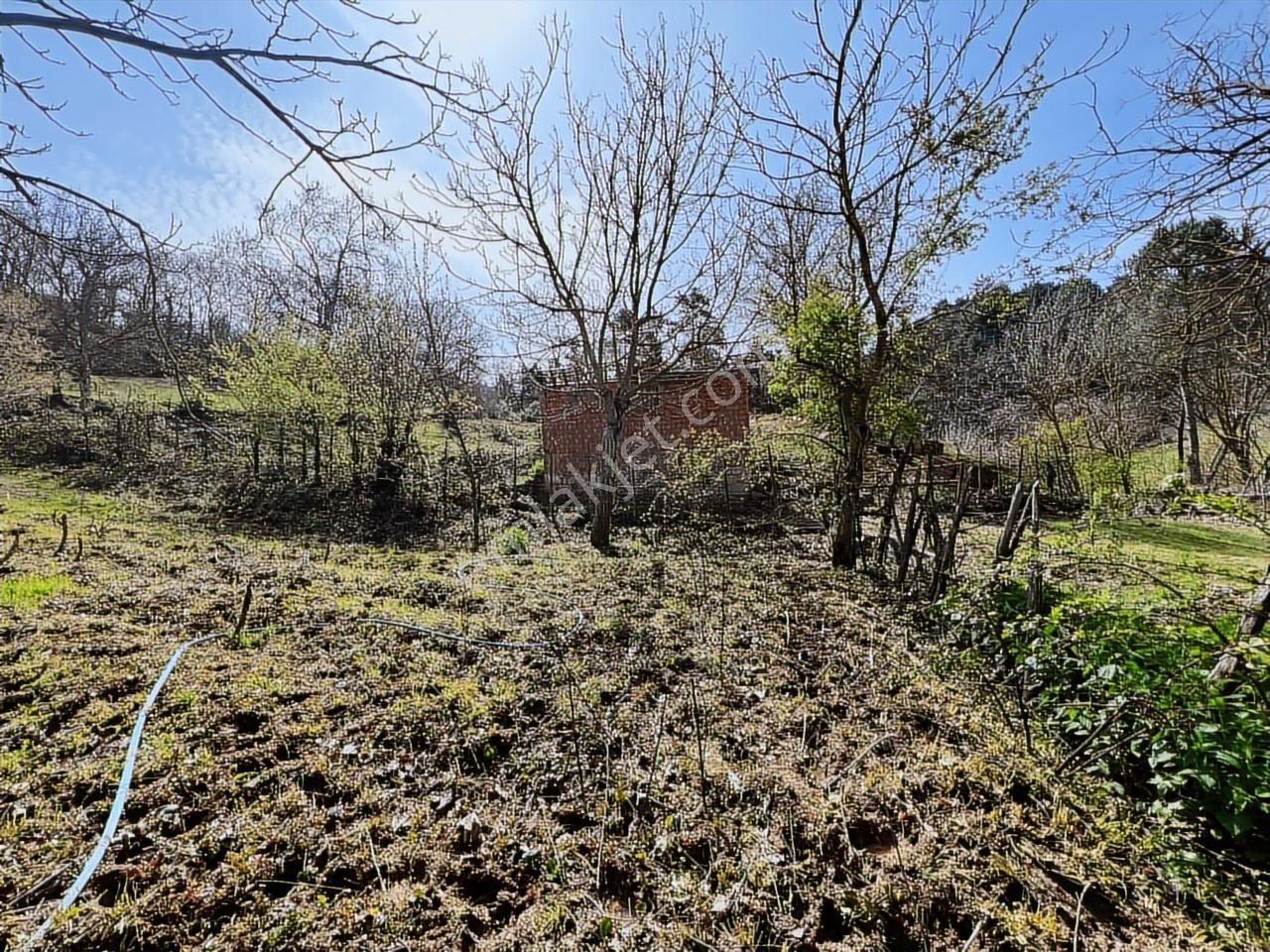 İvrindi'de %40 2 Kat İmarlı Köy İçi Çay Kenarı Arsa - Görsel 3