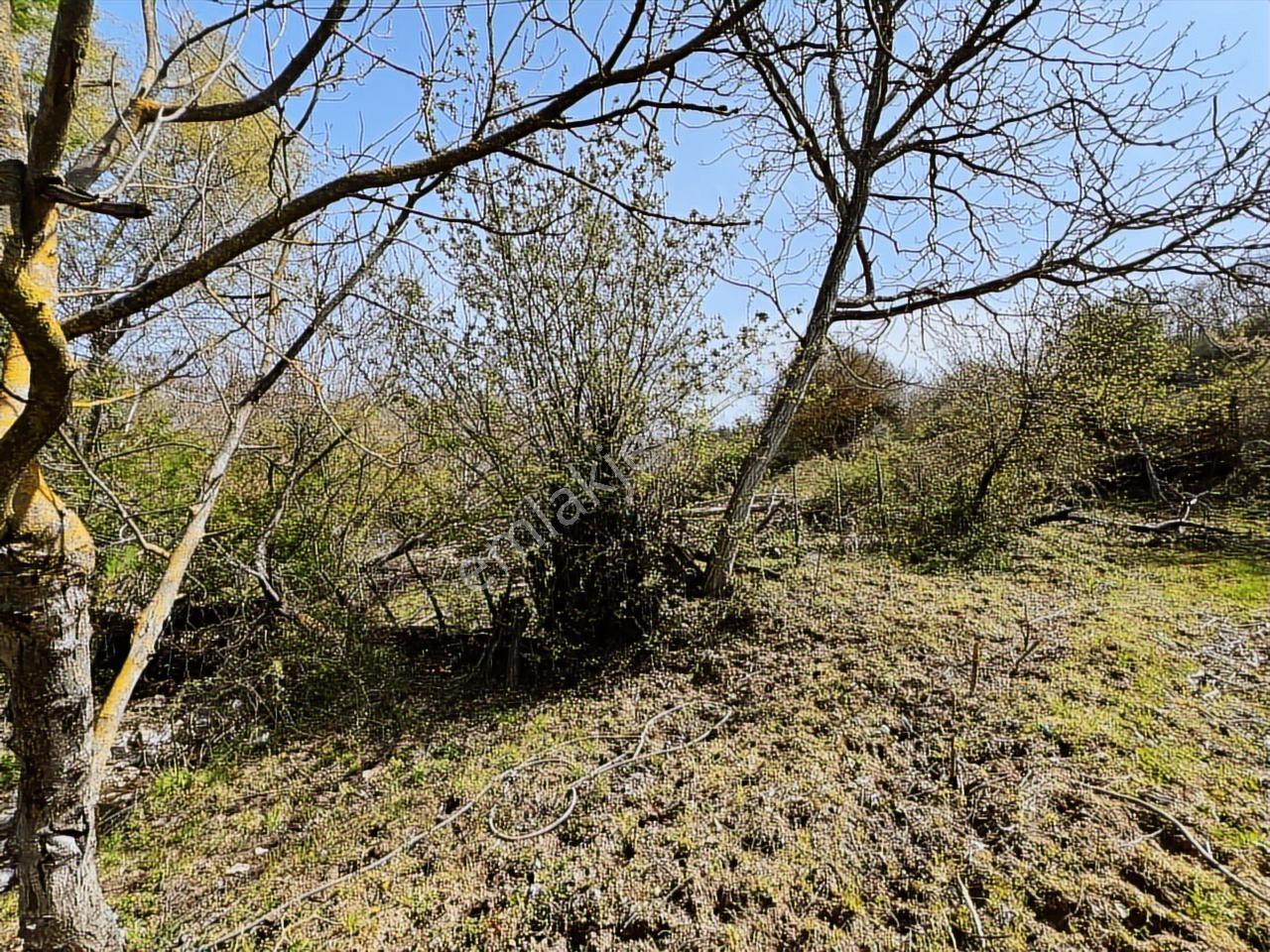 İvrindi'de %40 2 Kat İmarlı Köy İçi Çay Kenarı Arsa - Görsel 16