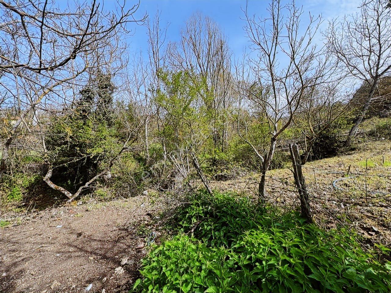İvrindi'de %40 2 Kat İmarlı Köy İçi Çay Kenarı Arsa - Görsel 25