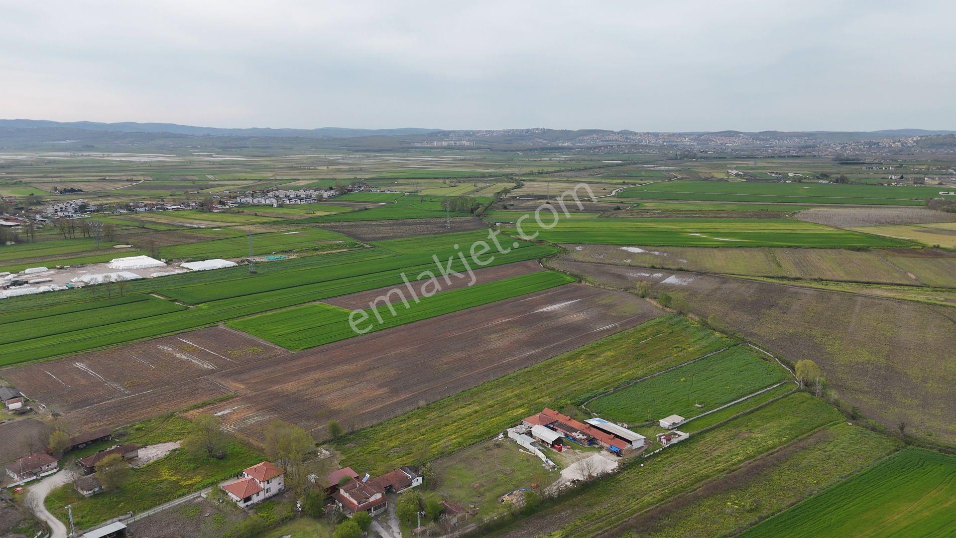 Re/max Maviden Aralıkta İmara 1 Parsel Yatırımlık Tarlalar - Görsel 14