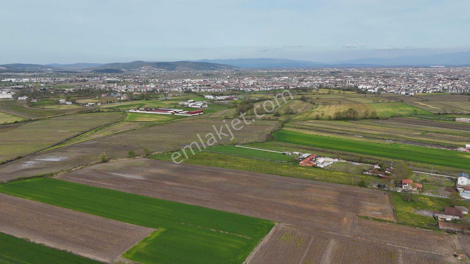 Re/max Maviden Aralıkta İmara 1 Parsel Yatırımlık Tarlalar - Görsel 13