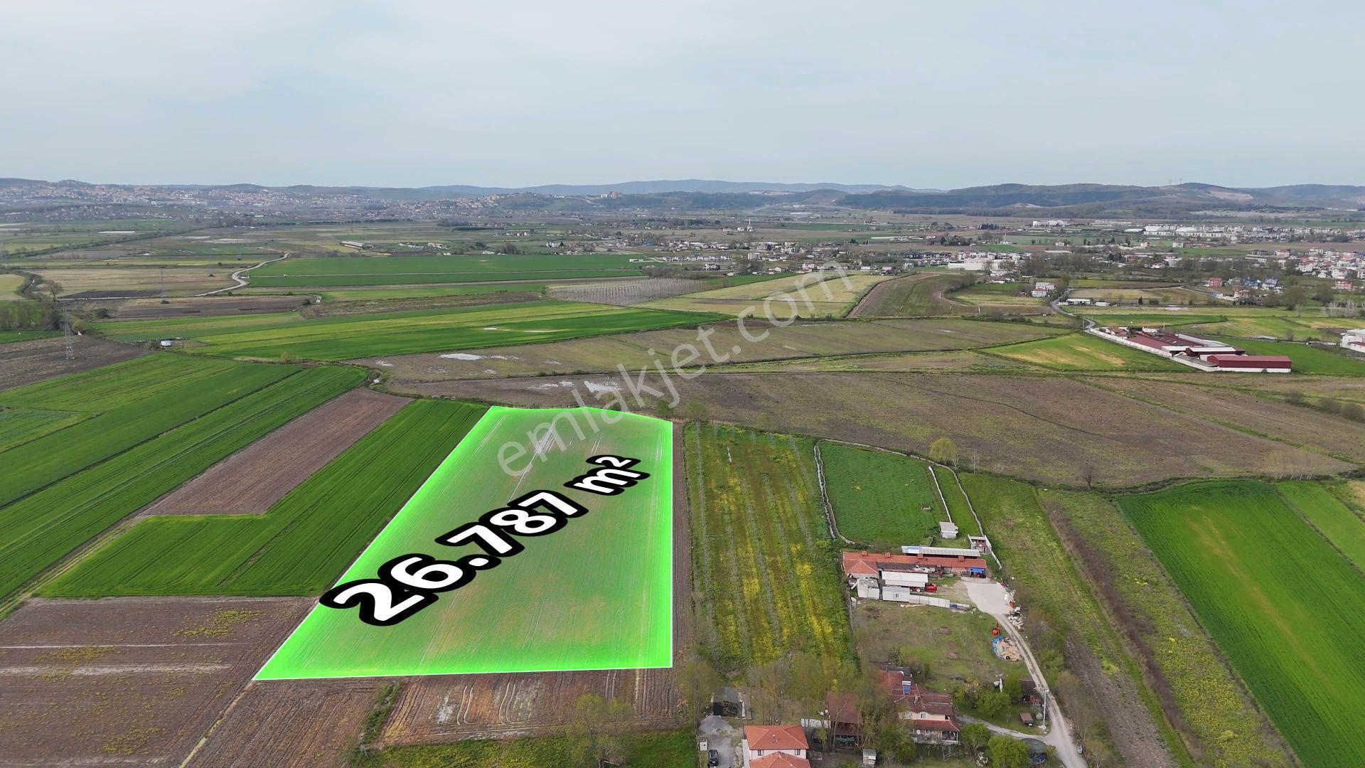 Re/max Maviden Aralıkta İmara 1 Parsel Yatırımlık Tarlalar - Görsel 9