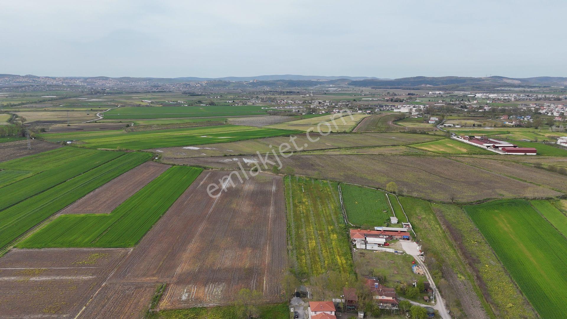 Re/max Maviden Aralıkta İmara 1 Parsel Yatırımlık Tarlalar - Görsel 5