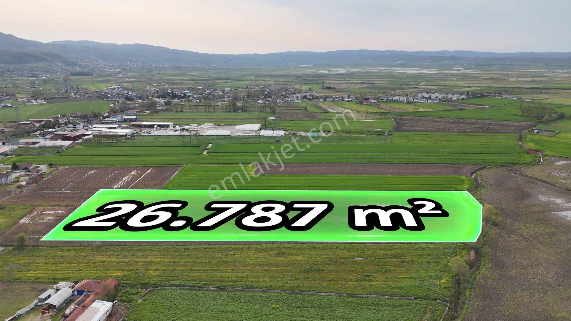 Re/max Maviden Aralıkta İmara 1 Parsel Yatırımlık Tarlalar - Görsel 11
