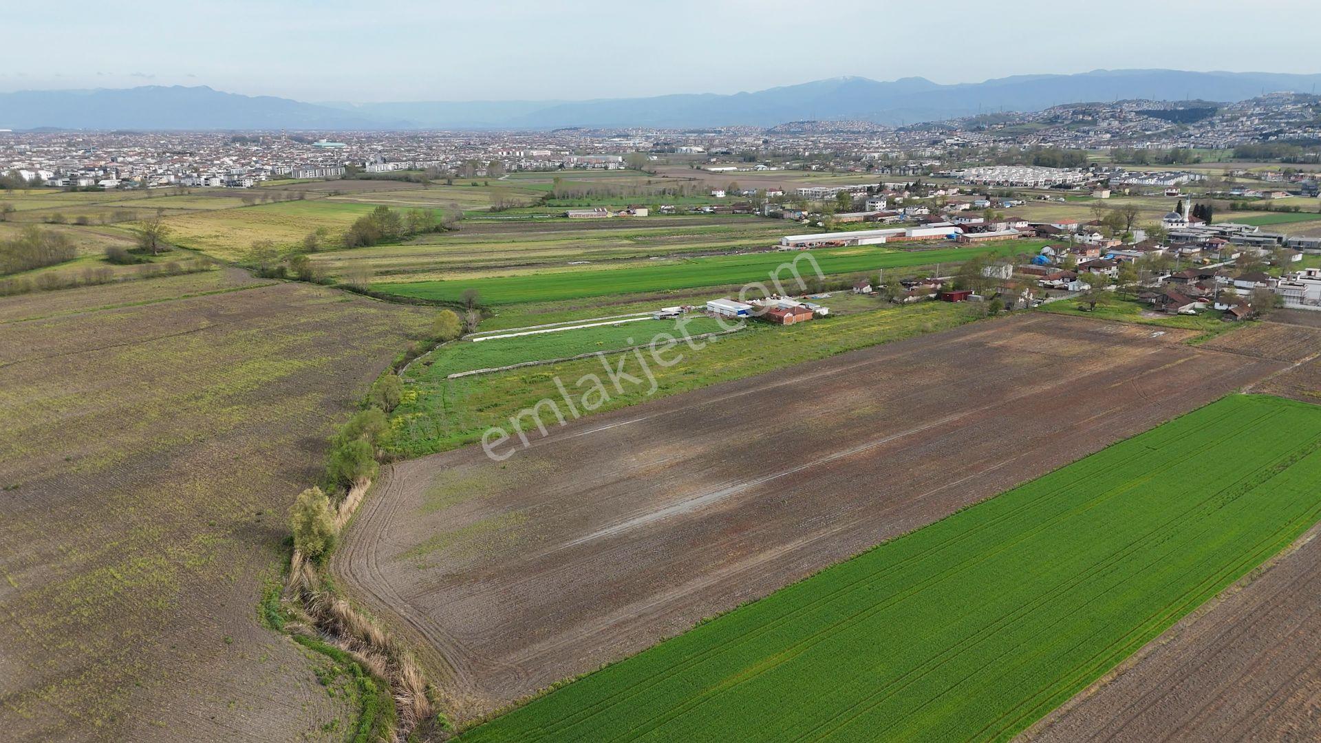 Re/max Maviden Aralıkta İmara 1 Parsel Yatırımlık Tarlalar - Görsel 16