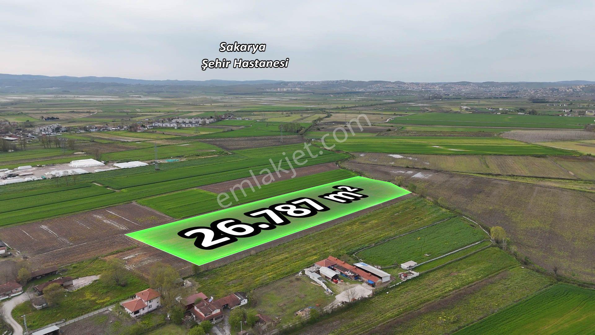 Re/max Maviden Aralıkta İmara 1 Parsel Yatırımlık Tarlalar - Görsel 10