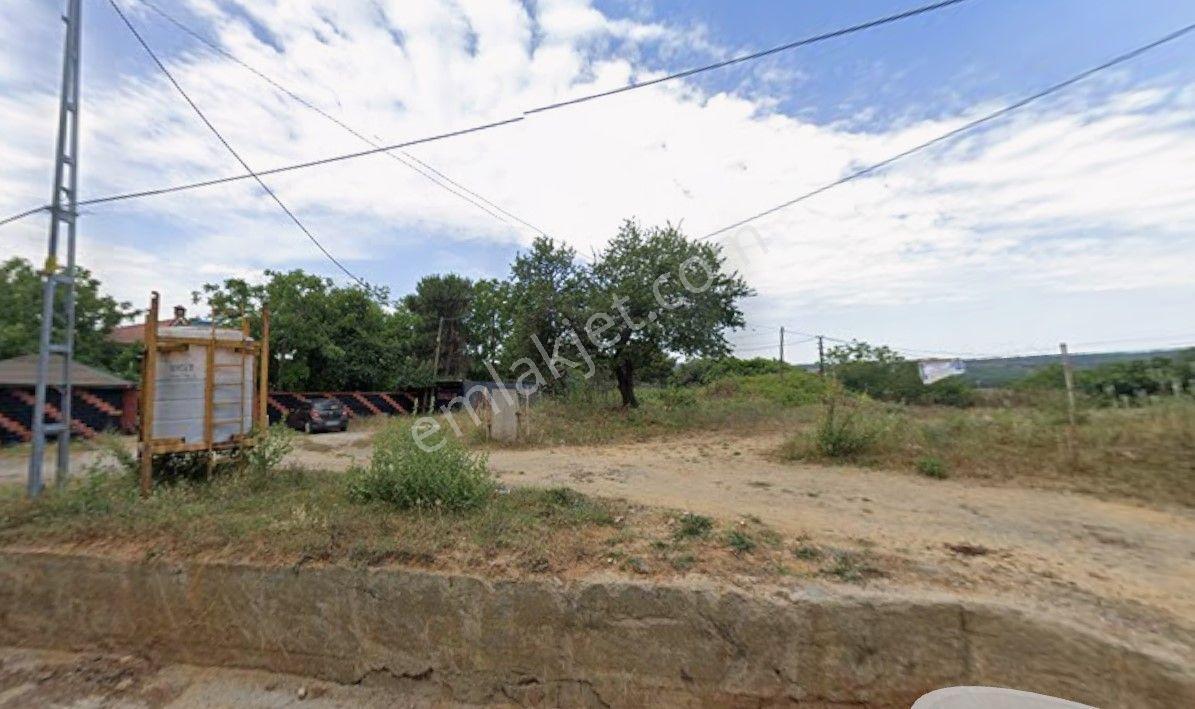 Goldhouse Dan Satılık Eyüp Ağaçlı’da Fırsat İmarlı Arsa - Görsel 3