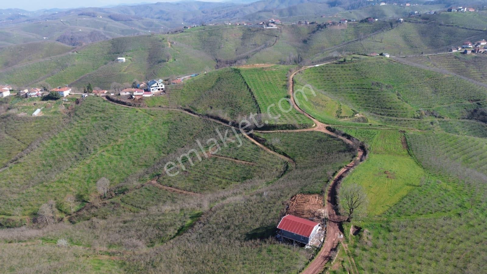 Emlakevim Den Hendek Dereköy Mh Satılık Arsa - Görsel 2