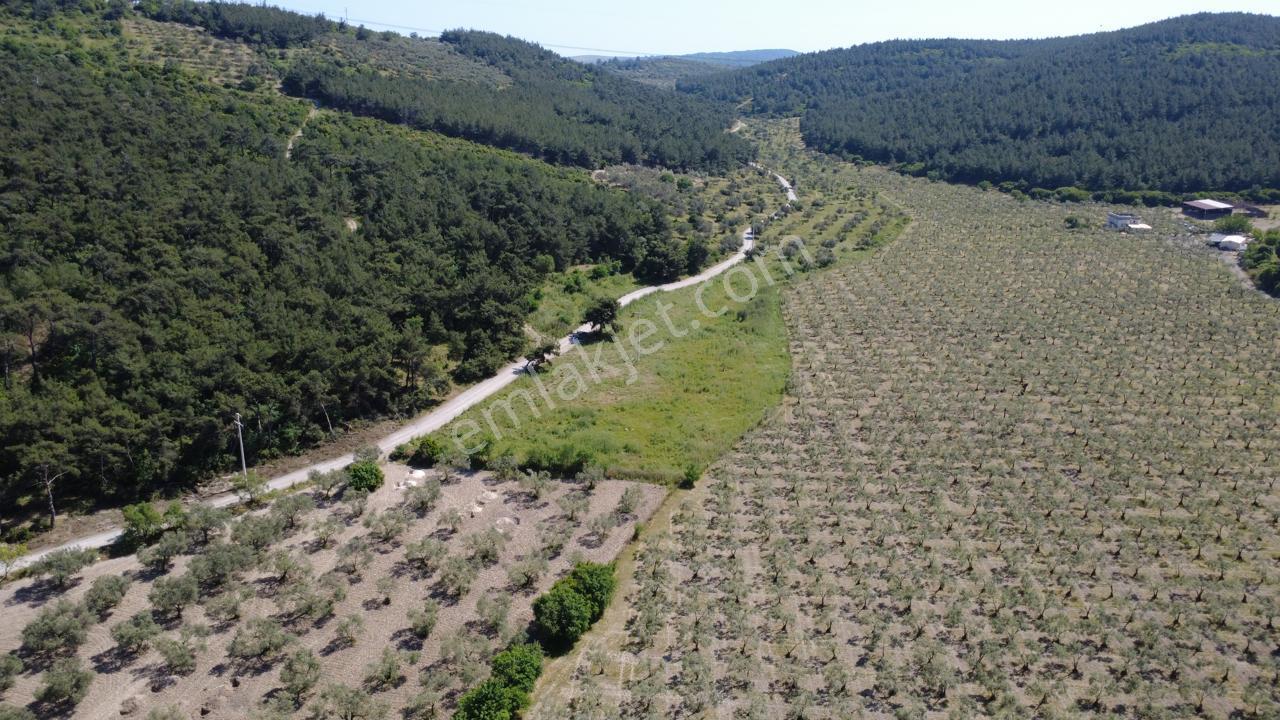 Yola Cephe 7000m2 Tek Tapu Arsa - Görsel 25