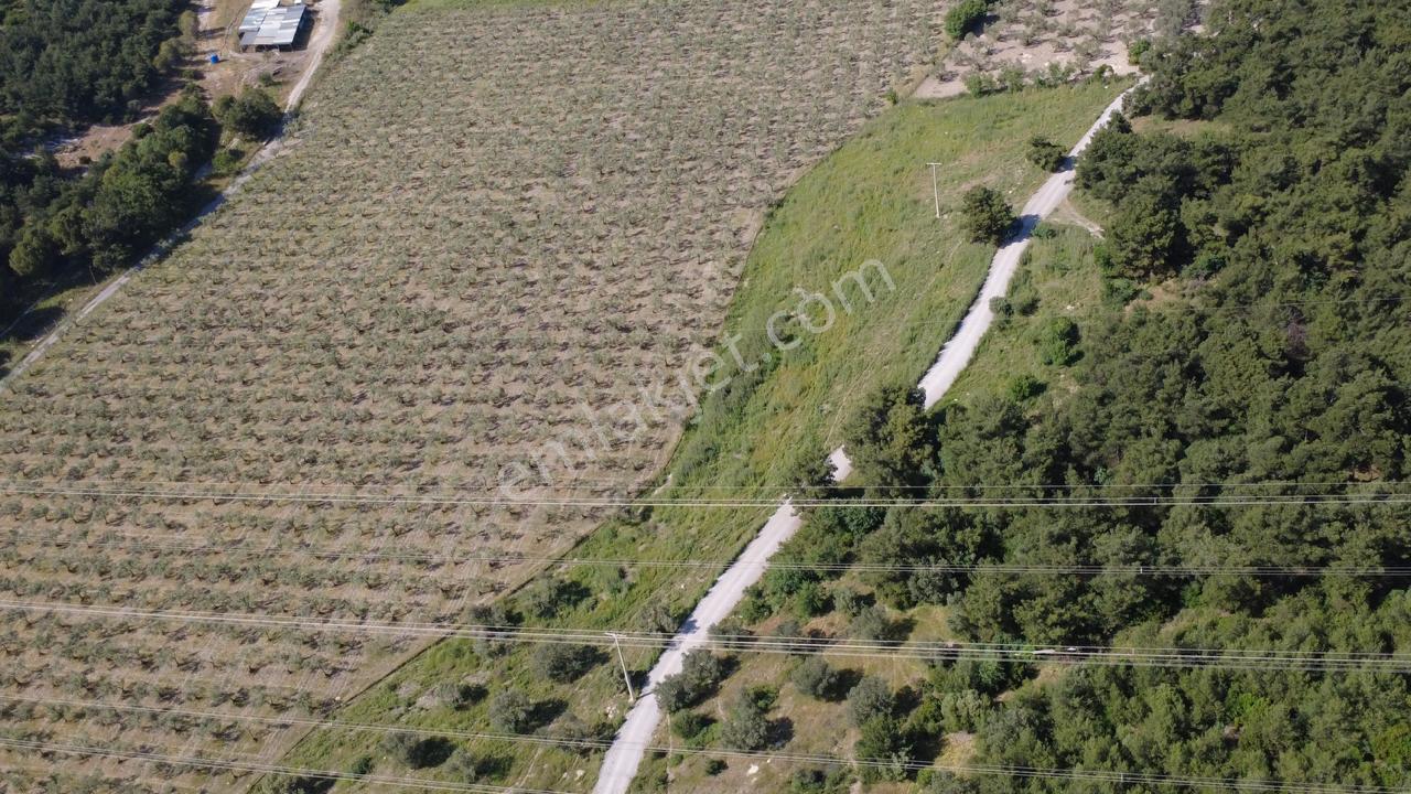 Yola Cephe 7000m2 Tek Tapu Arsa - Görsel 16