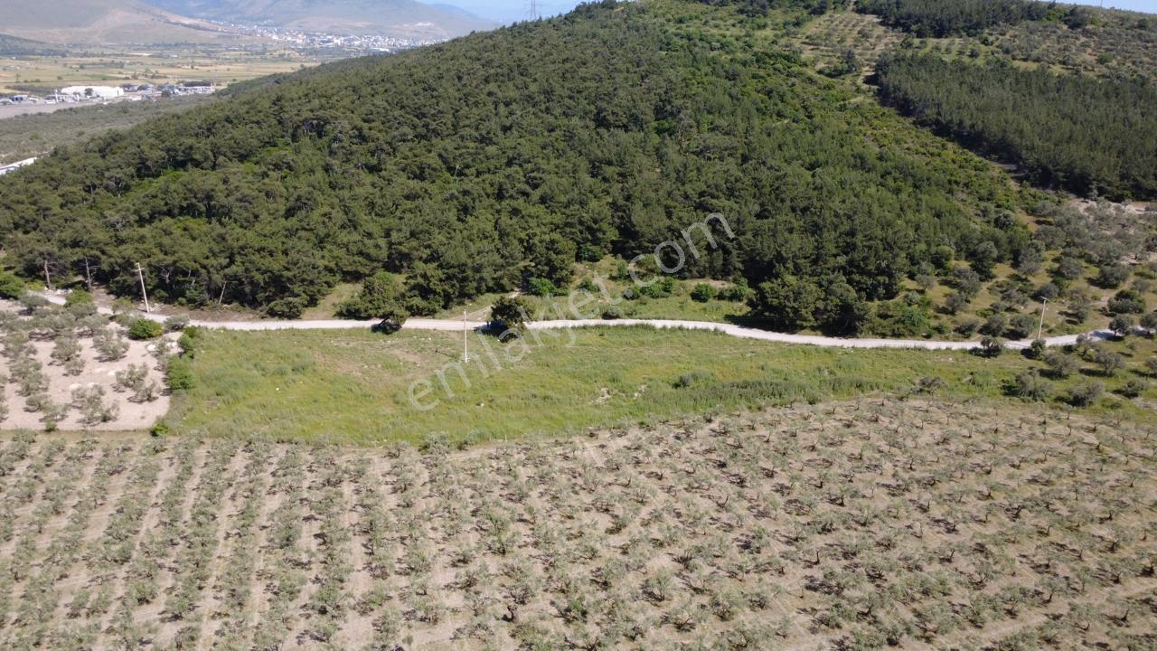 Yola Cephe 7000m2 Tek Tapu Arsa - Görsel 19