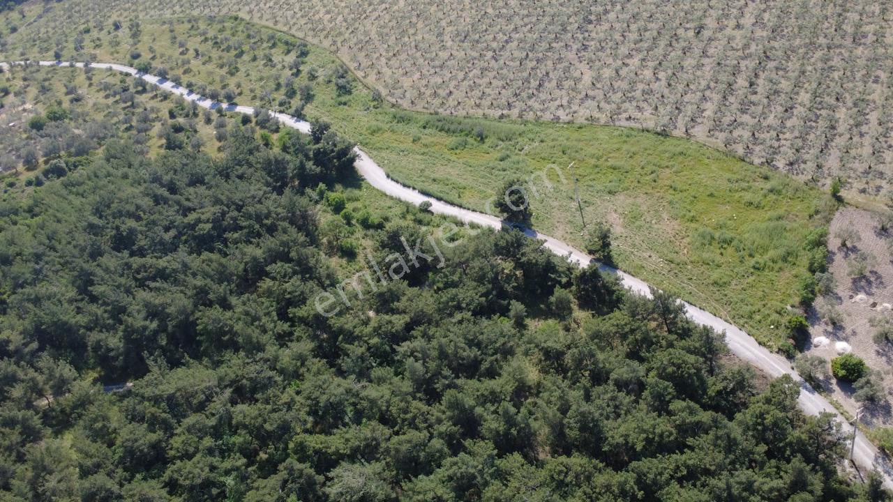 Yola Cephe 7000m2 Tek Tapu Arsa - Görsel 2