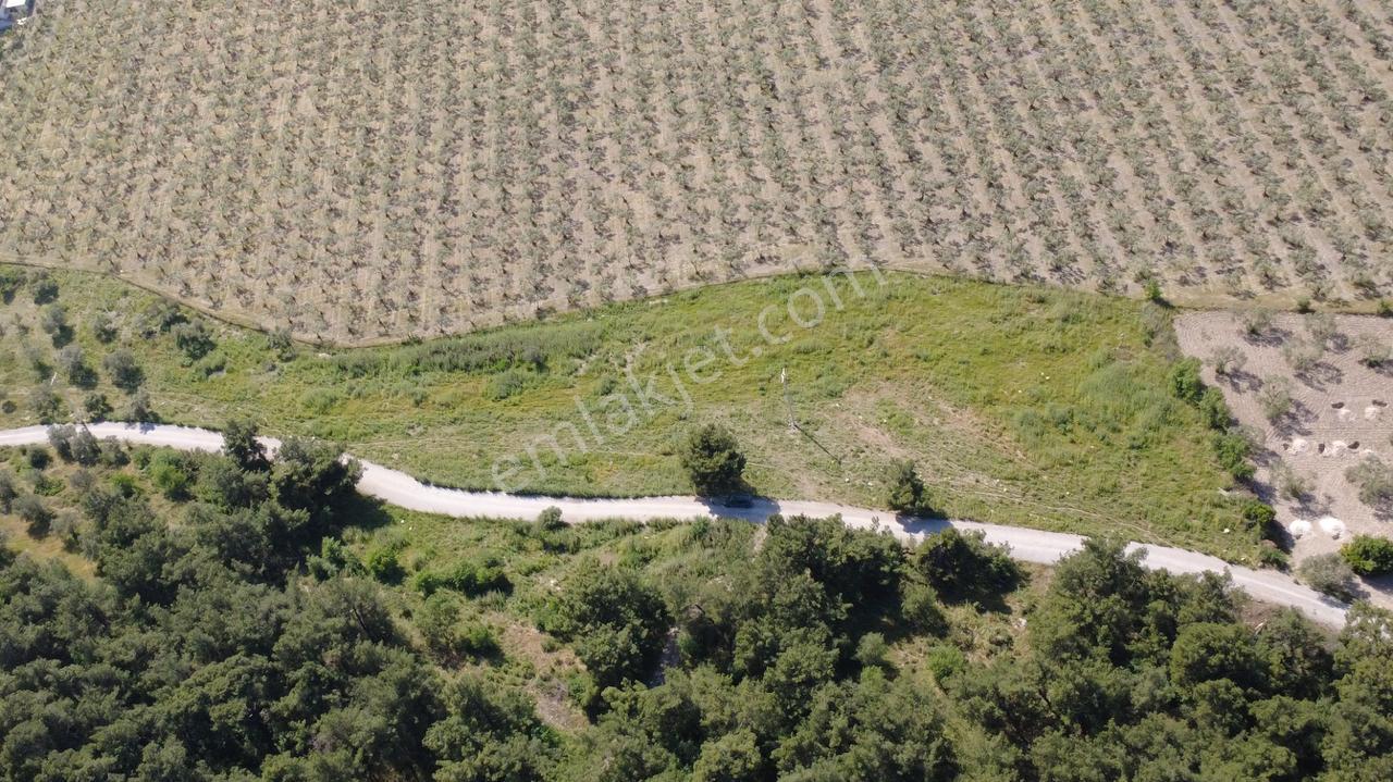 Yola Cephe 7000m2 Tek Tapu Arsa - Görsel 10
