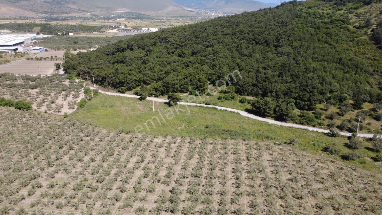 Yola Cephe 7000m2 Tek Tapu Arsa - Görsel 18