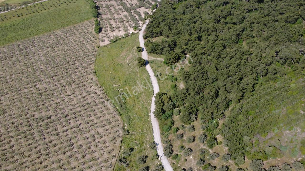 Yola Cephe 7000m2 Tek Tapu Arsa - Görsel 17