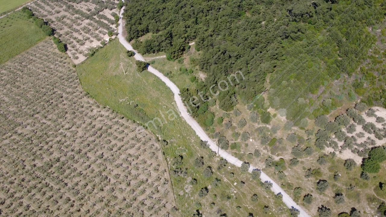 Yola Cephe 7000m2 Tek Tapu Arsa - Görsel 13