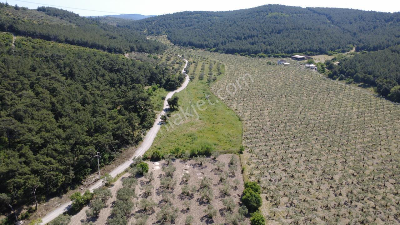 Yola Cephe 7000m2 Tek Tapu Arsa - Görsel 24