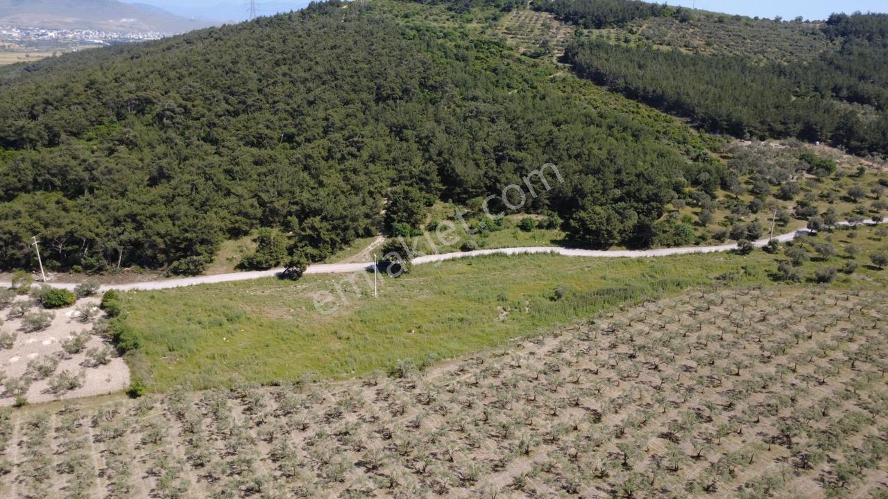 Yola Cephe 7000m2 Tek Tapu Arsa - Görsel 20