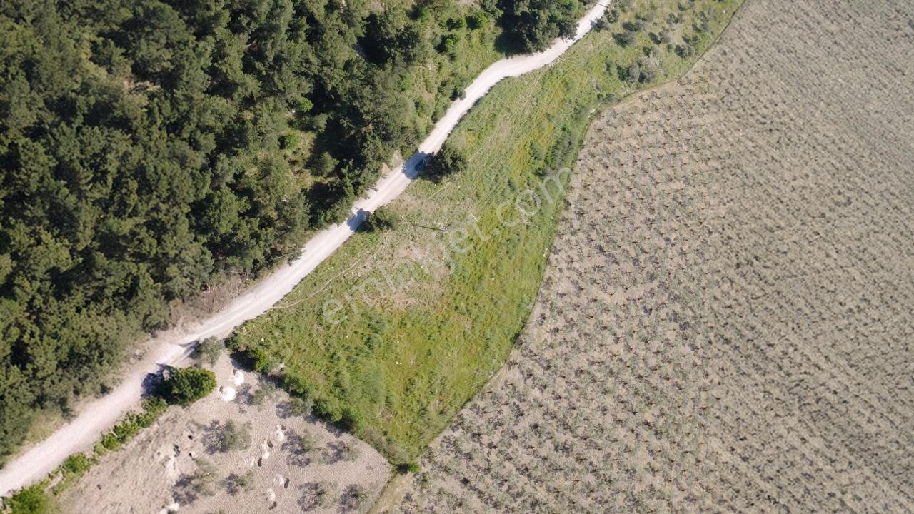 Yola Cephe 7000m2 Tek Tapu Arsa - Görsel 6