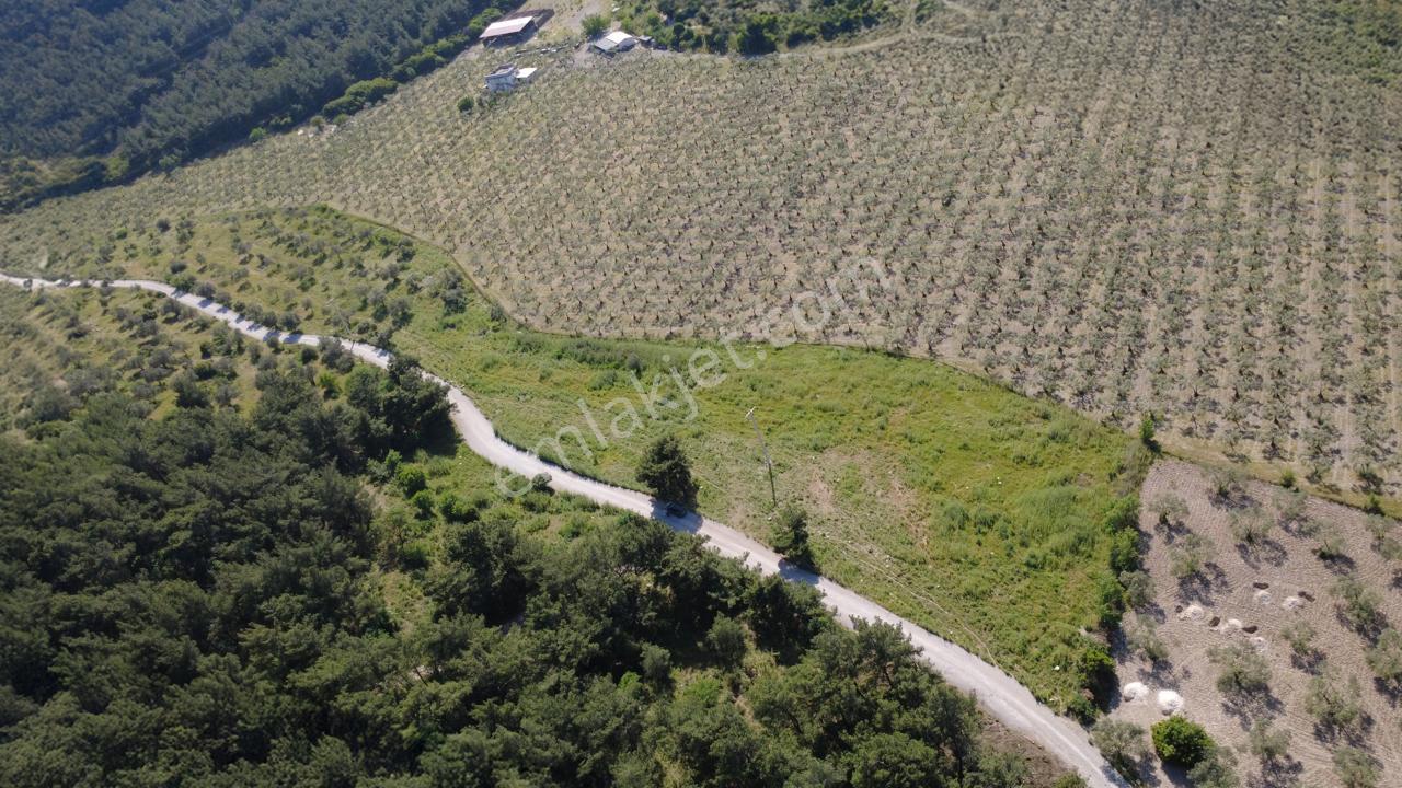 Yola Cephe 7000m2 Tek Tapu Arsa - Görsel 3