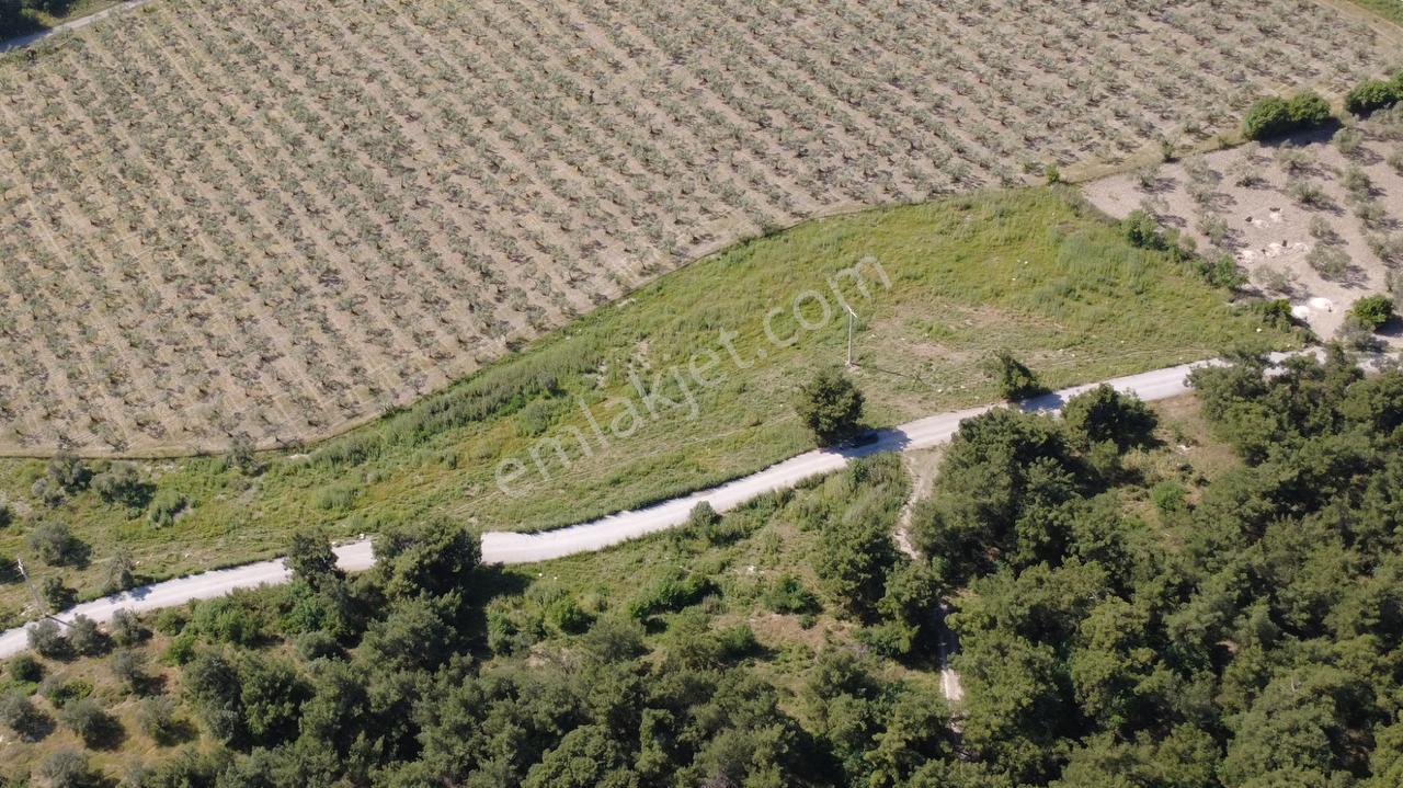 Yola Cephe 7000m2 Tek Tapu Arsa - Görsel 12
