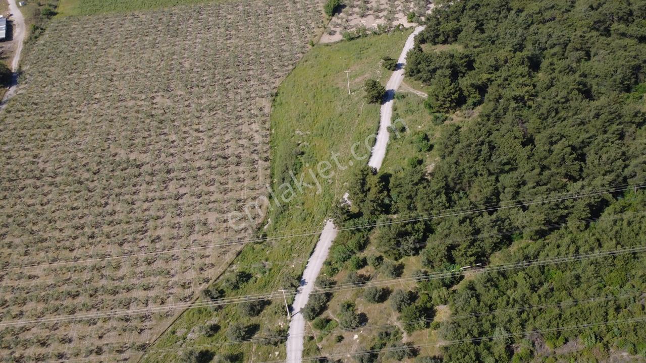 Yola Cephe 7000m2 Tek Tapu Arsa - Görsel 15