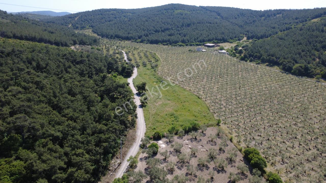 Yola Cephe 7000m2 Tek Tapu Arsa - Görsel 27