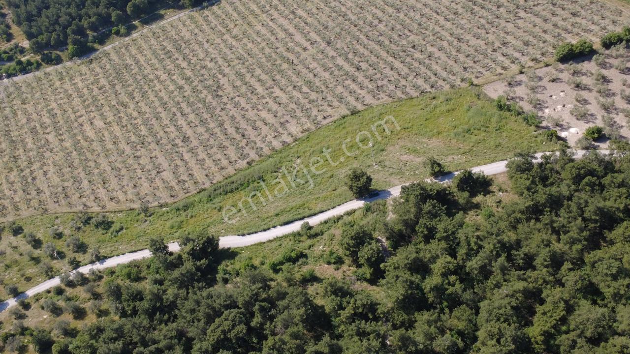 Yola Cephe 7000m2 Tek Tapu Arsa - Görsel 14