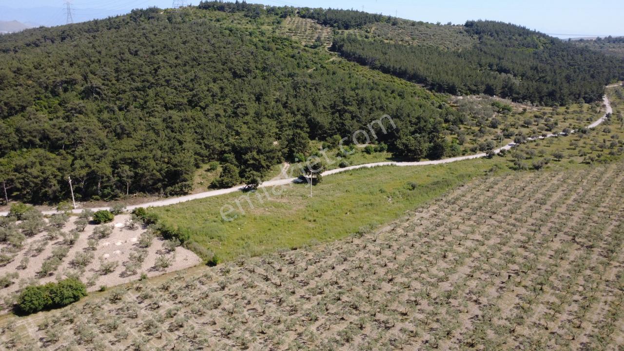 Yola Cephe 7000m2 Tek Tapu Arsa - Görsel 23