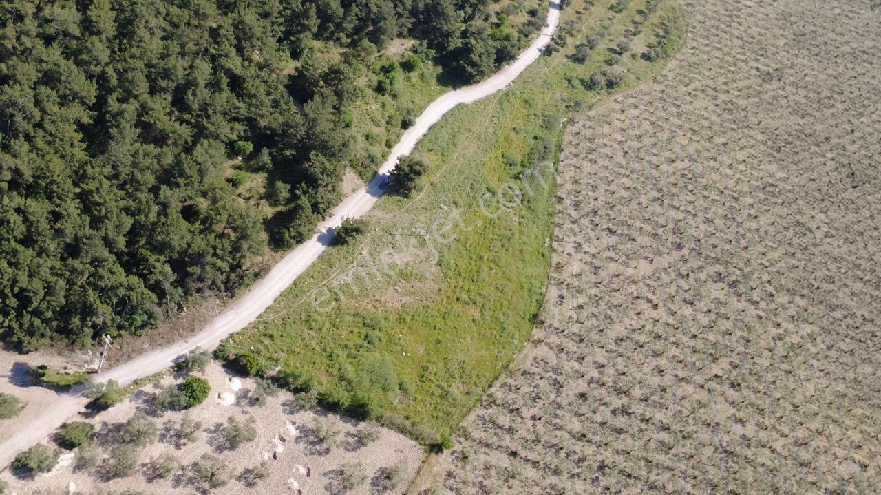 Yola Cephe 7000m2 Tek Tapu Arsa - Görsel 5