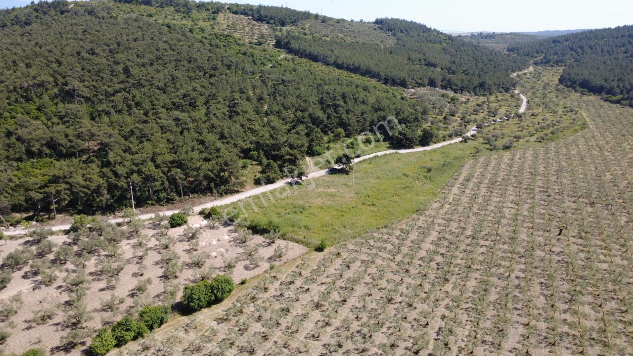 Yola Cephe 7000m2 Tek Tapu Arsa - Görsel 22