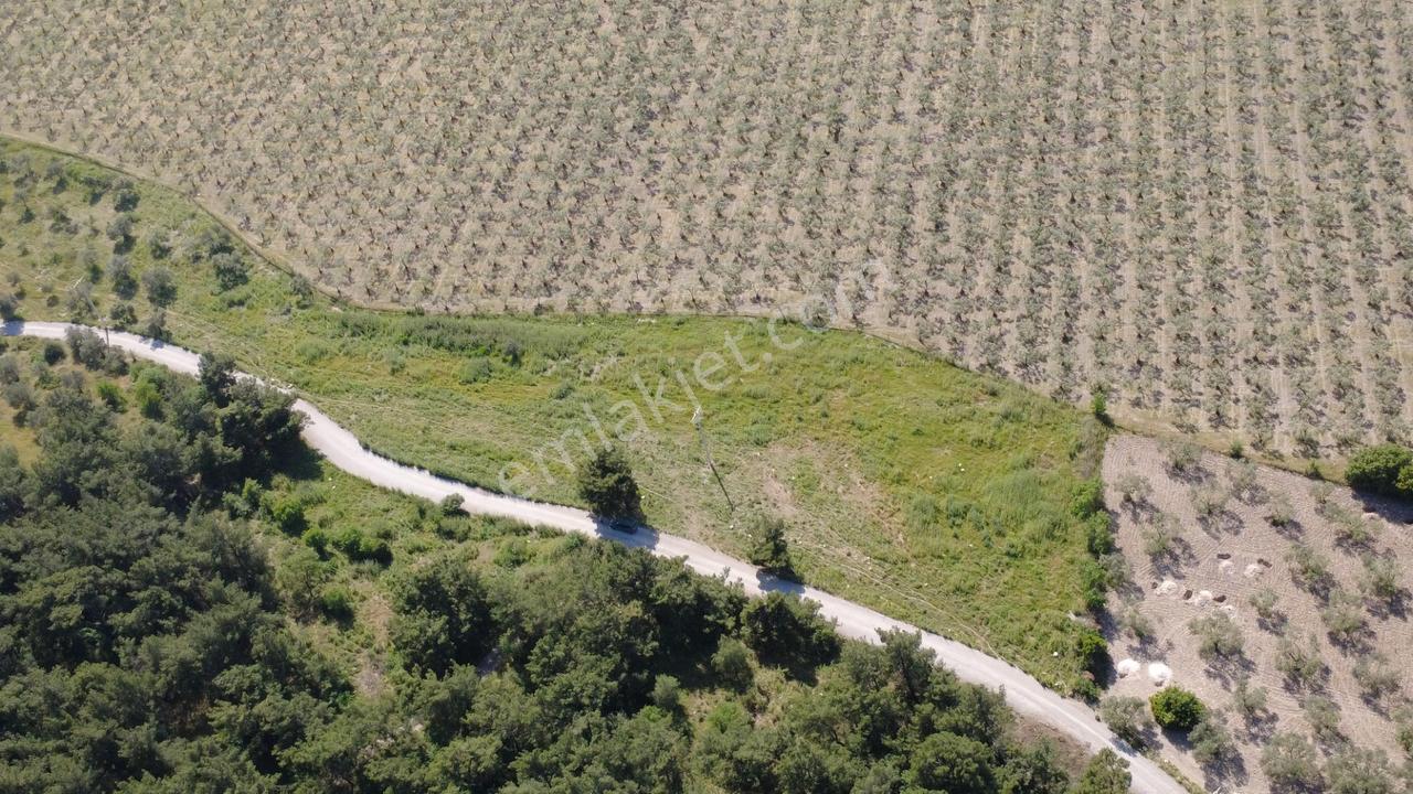 Yola Cephe 7000m2 Tek Tapu Arsa - Görsel 11