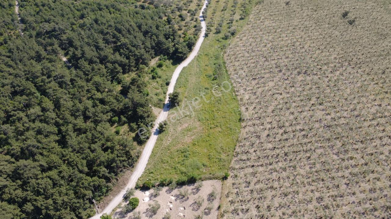Yola Cephe 7000m2 Tek Tapu Arsa - Görsel 4