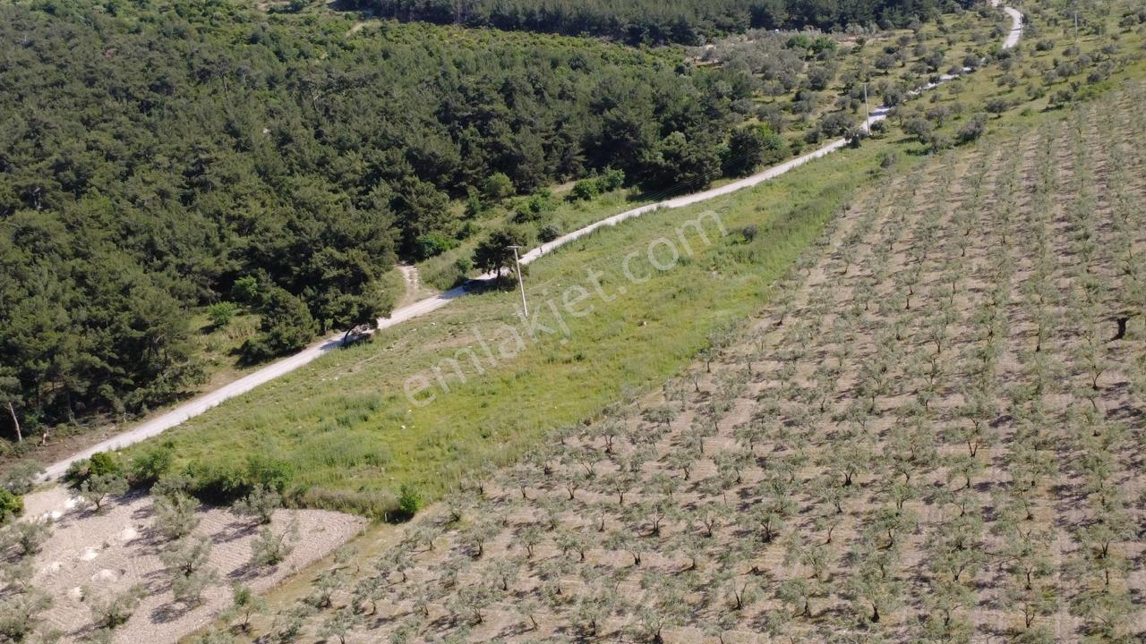 Yola Cephe 7000m2 Tek Tapu Arsa - Görsel 7