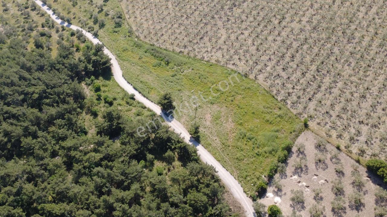 Yola Cephe 7000m2 Tek Tapu Arsa - Görsel 9