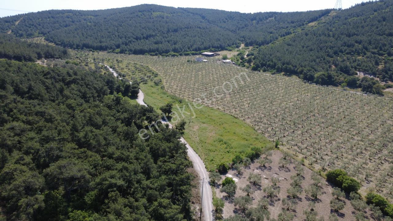 Yola Cephe 7000m2 Tek Tapu Arsa - Görsel 26