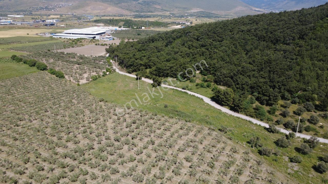 Yola Cephe 7000m2 Tek Tapu Arsa - Görsel 21