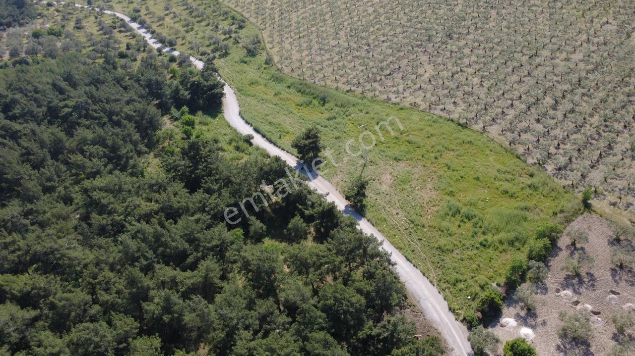 Yola Cephe 7000m2 Tek Tapu Arsa