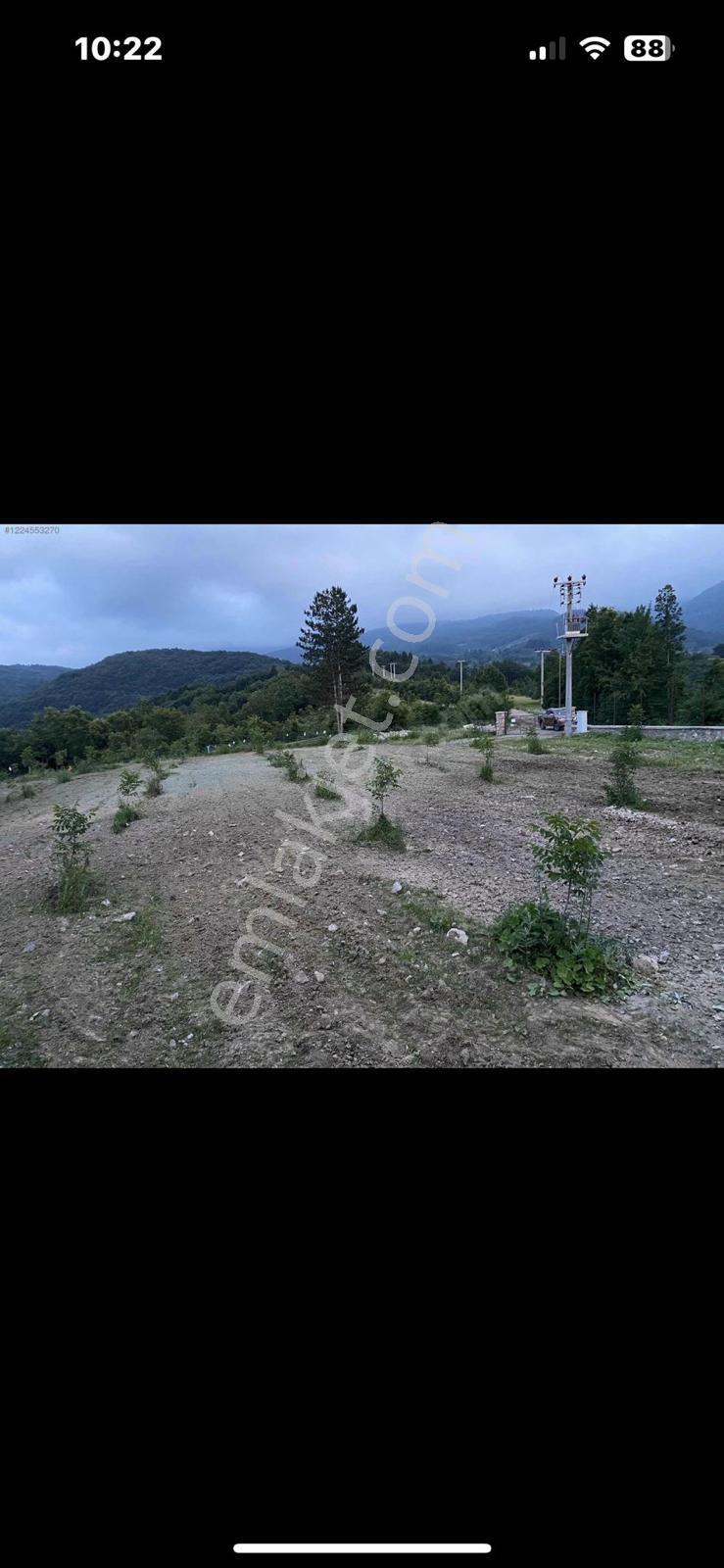 İnegöl Mezit Köyünde 4 Dönüm İçinde Satılık Lüks Villa - Görsel 8