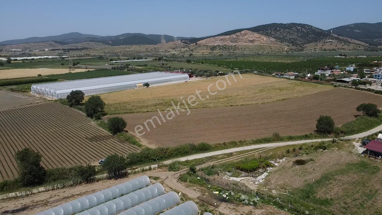 Bayındır Havuzbaşı Köyü Meydanına 100metre Mesafede 7dönüm Tarla - Görsel 2