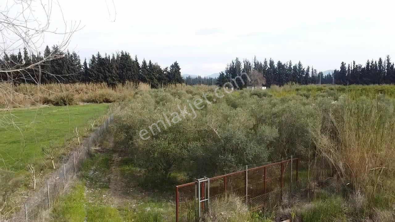 Ortaca Fevziye Mahallesinde 2000m2 Arsa - Görsel 2