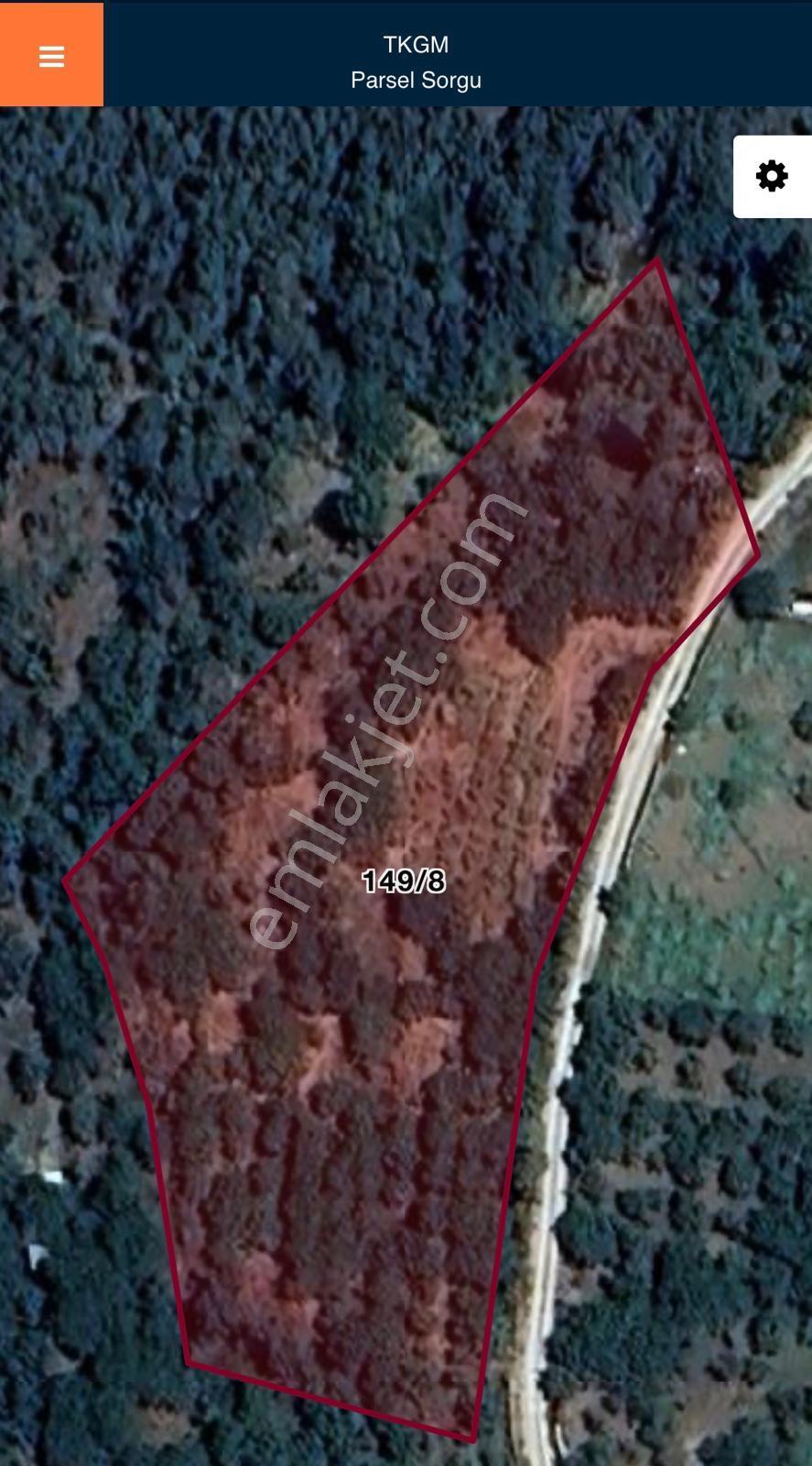 Kemalpaşa Bayramlıda Asfalt Cepheli,bağ Niteliğinde Arazi - Görsel 2