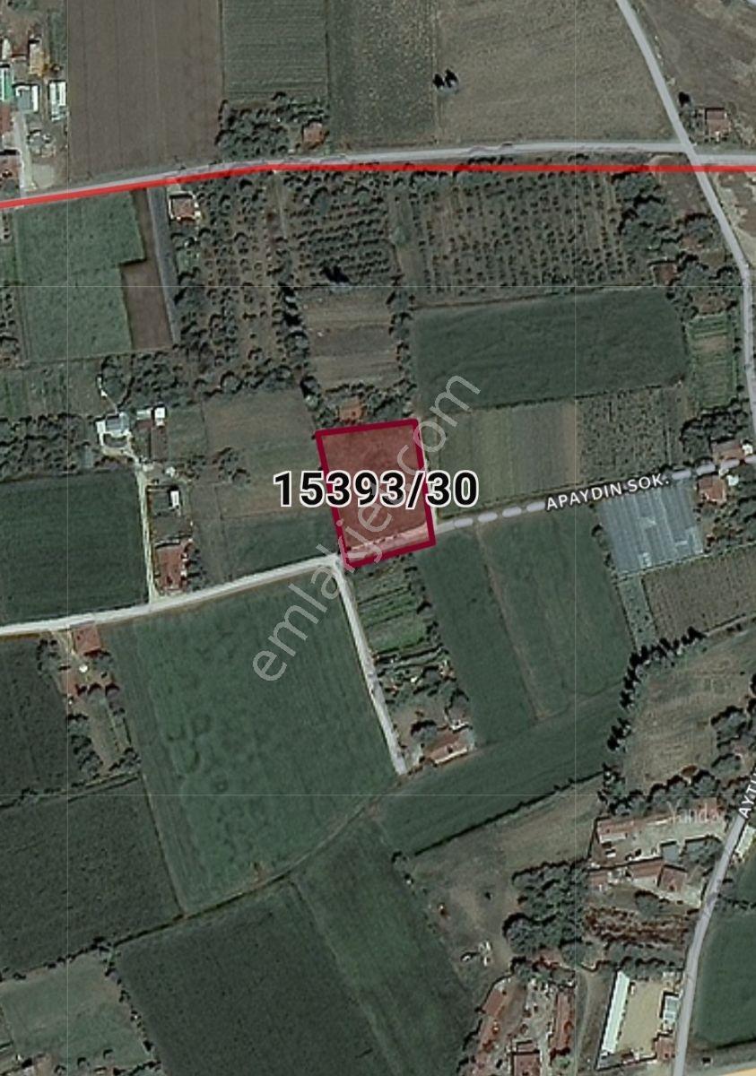 Kaymen Emlak Şehir Merkezinde 2549 M2 Tarla Çevreyolu Çok Yakın - Görsel 6