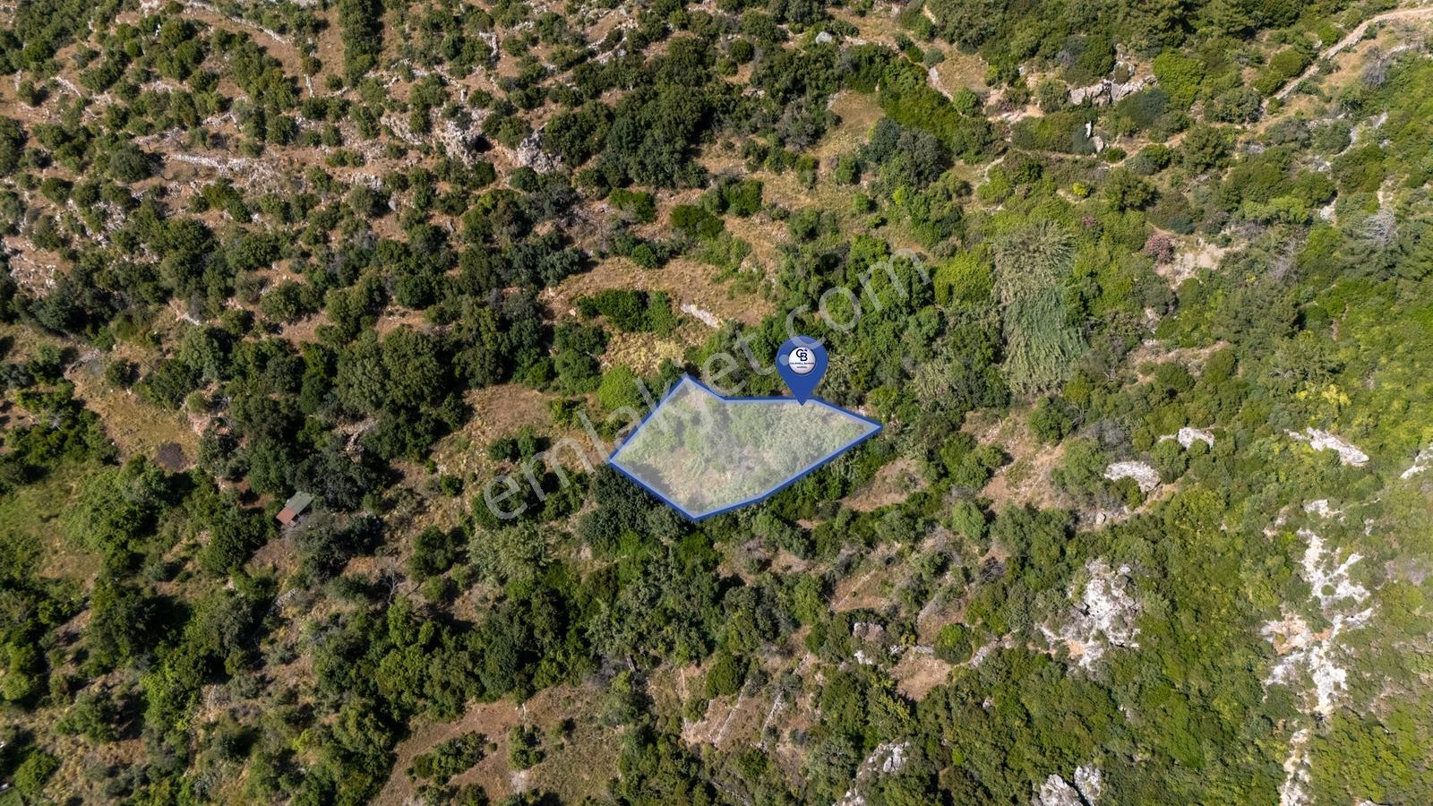 Cb Marina'dan Söğütte Denize Yakın Mesafede Yatırıma Uygun Tarla - Görsel 2