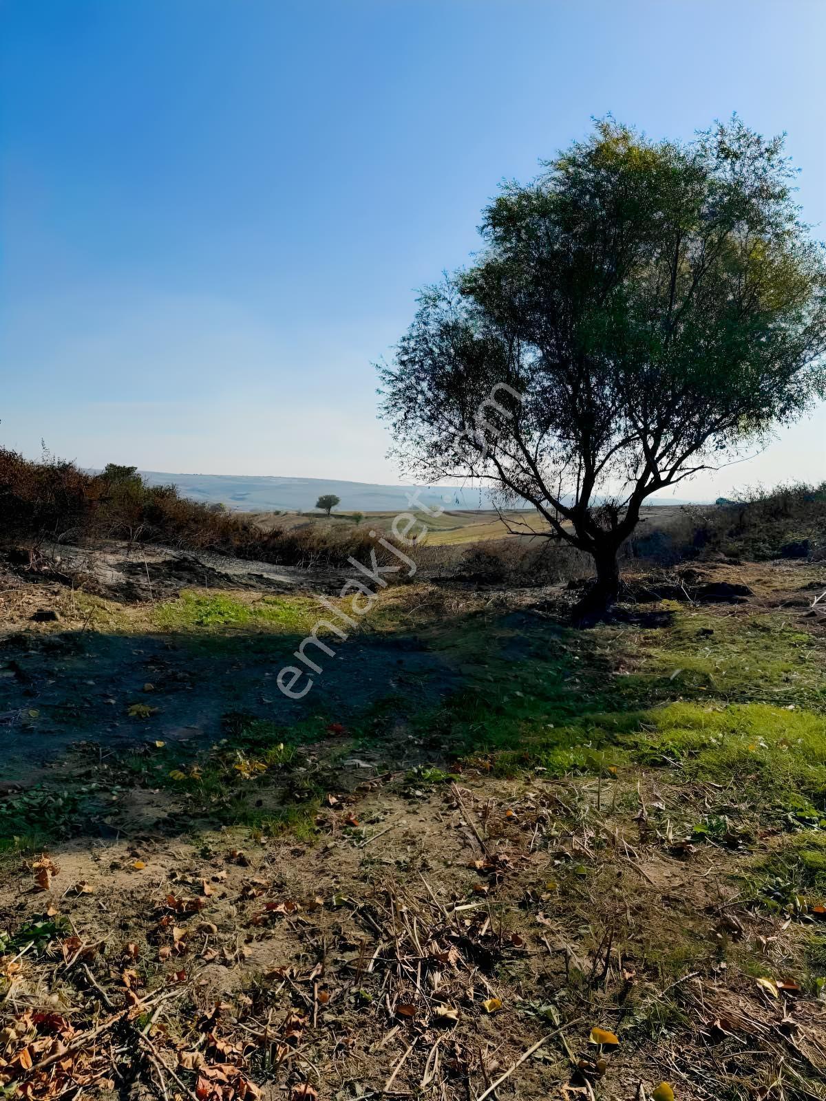 Silivri Değirmenköyde 2.482 M² Müstakil Tapulu Satılık Tarla - Görsel 6