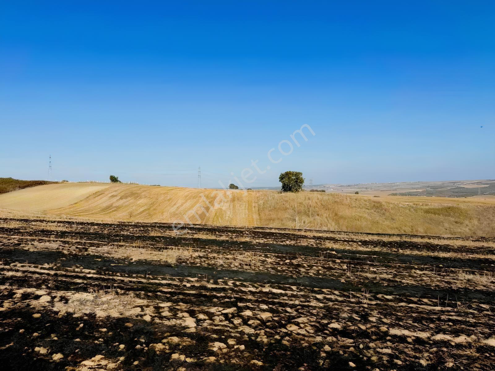 Silivri Değirmenköyde 2.482 M² Müstakil Tapulu Satılık Tarla - Görsel 26